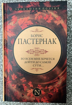 Борис Пастернак: Во всем мне хочется дойти до самой сути…