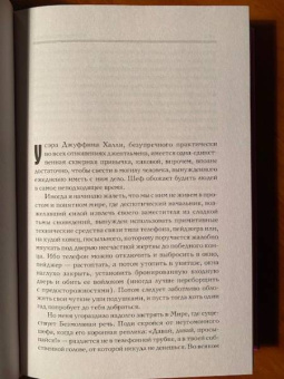 Макс Фрай: Лабиринт Менина