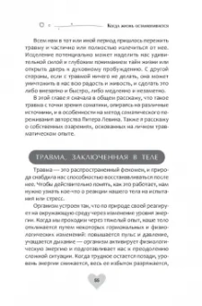 Свагито Либермайстер: Когда жизнь останавливается. Травма, привязанность и семейная расстановка
