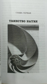 Хокинг, Млодинов: Высший замысел