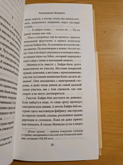 Орхан Памук: Рыжеволосая Женщина