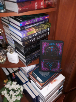 Эмили Тейлор: Отель "Манифик"