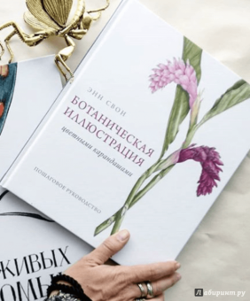 Энн Свон: Ботаническая иллюстрация цветными карандашами. Пошаговое руководство