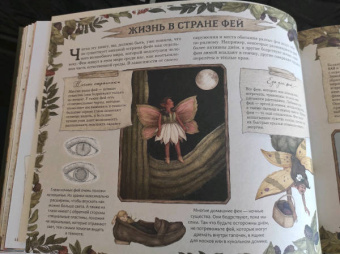 Секретная жизнь фей