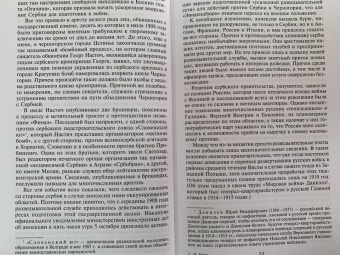 Максимилиан Ронге: Военный и промышленный шпионаж. Двенадцать лет службы в разведке