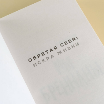 Трейси Лендж: Мы Бреннаны