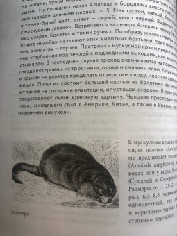 Альфред Брем: Жизнь животных. Большая иллюстрированная энциклопедия
