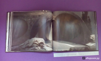 Саймон Уорд: Чужой. Завет. Иллюстрированная история создания