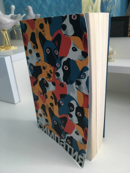 Родриго Кальдерон: Симпатия