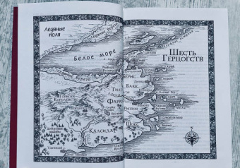 Робин Хобб: Сага о Шуте и Убийце. Книга 2. Золотой шут