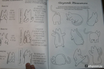 #опокот. Самый гадкий кот на свете (рыжий)