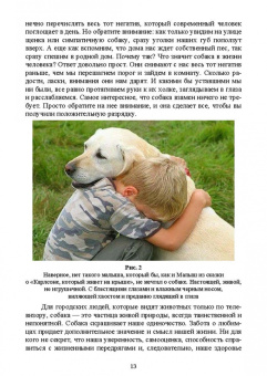 Владимир Евтухович: Содержание собаки в городе. Уход, воспитание и дрессировка. Учебное пособие для СПО