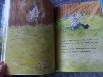 Мейке Хаас: Маленькое привидение. Ночная прогулка