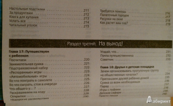 Шейла Эллисон: 365 лучших игр для развития вашего маленького гения