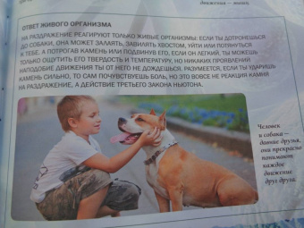 Анна Спектор: Живой мир
