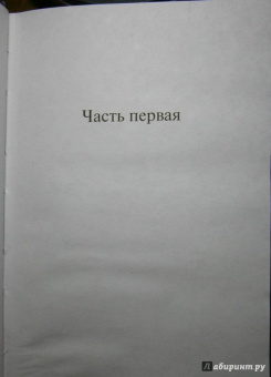 Даниэла Стил: Огни Юга