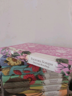 Гюстав Флобер: Госпожа Бовари