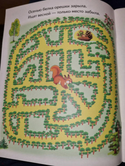 Елена Бортникова: Лабиринты. Для детей 4-5 лет