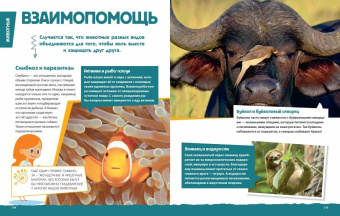 Современная большая детская энциклопедия