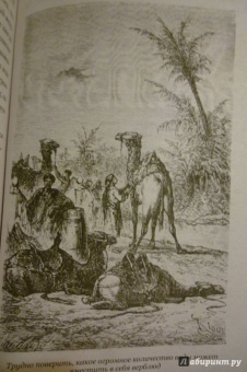 Рид Майн: Пиратский остров. Молодые невольники