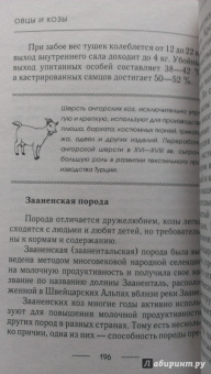 Елена Плотникова: Козы и овцы