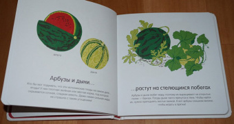 Гибер де: Как они растут?