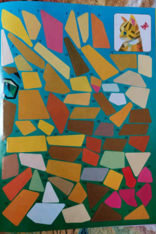 Котята и кошки