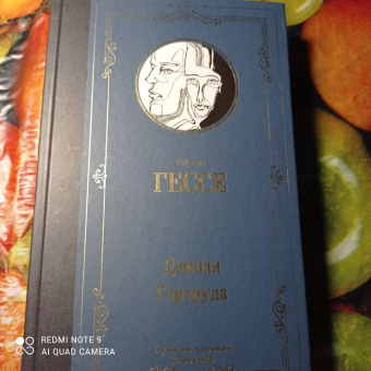 Герман Гессе: Демиан. Гертруда