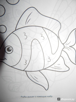 Большая раскраска "Животные"