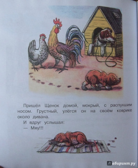 Владимир Сутеев: Загадочные истории