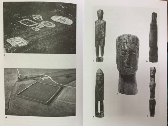 Стюарт Пиготт: Друиды. Поэты, ученые, прорицатели