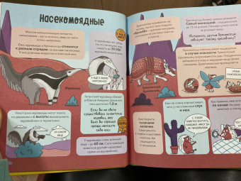 Noodle Fuel: Звери. От броненосца до зебры. Самые невероятные факты, рекорды и достижения