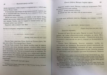 Сент-Экзюпери, Сент-Экзюпери: Маленький принц и его Роза. Письма 1930-1944