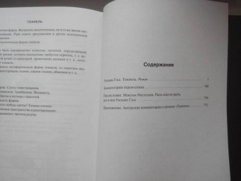 Уильям Гэсс: Тоннель