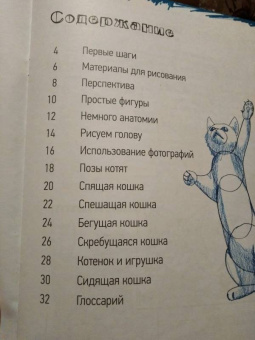 Марк Берджин: Школа рисования. Кошки