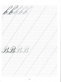 Дарья Лопатина: Каллиграфия. Прописи. Английский курсив. Кириллица