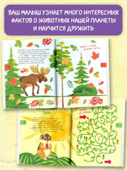 Евгения Ершова: Большая книга квестов и лабиринтов для почемучки