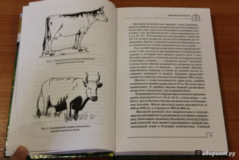 Л. Моисеенко: Ветеринарный справочник фермера