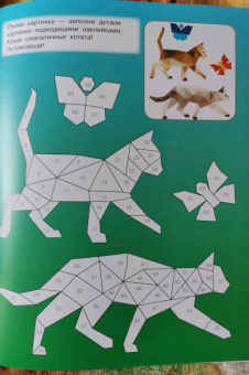 Котята и кошки