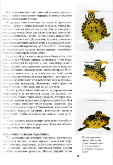 Райнер Прашага: Красноухие черепахи. Содержание и уход