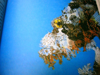 Ордынская, Собе-Панек, Першин: Хочу все знать!