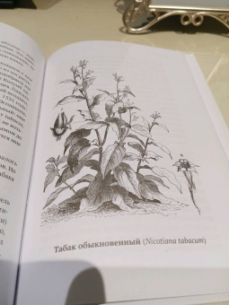 Катя Астафьефф: Дурное семя. Удивительная история жалящих, обжигающих и убивающих растений