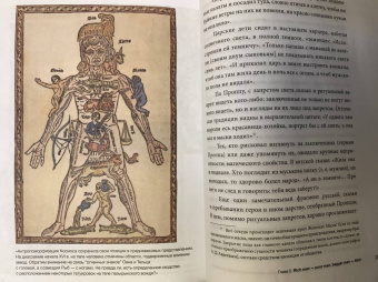 Мария Медникова: Татуировки. Неизгладимые знаки как исторический источник