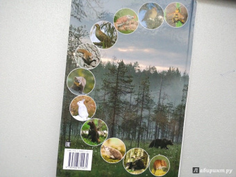 Александр Тихонов: Лесные тайны