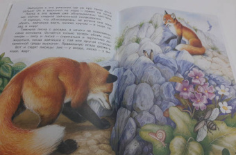 Николай Сладков: Бюро лесных услуг