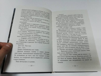 Кристен Сиккарелли: Последний Намсара. Боги света и тьмы