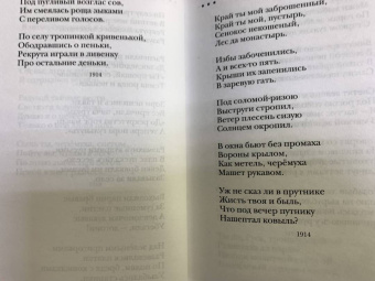 Сергей Есенин: Не жалею, не зову, не плачу...