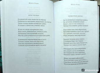 Среди печальных бурь. Из польской поэзии XIX-XX веков