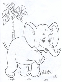 Татьяна Коваль: Живая планета