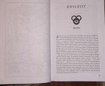 Роберт Джордан: Колесо Времени. Книга 7. Корона мечей